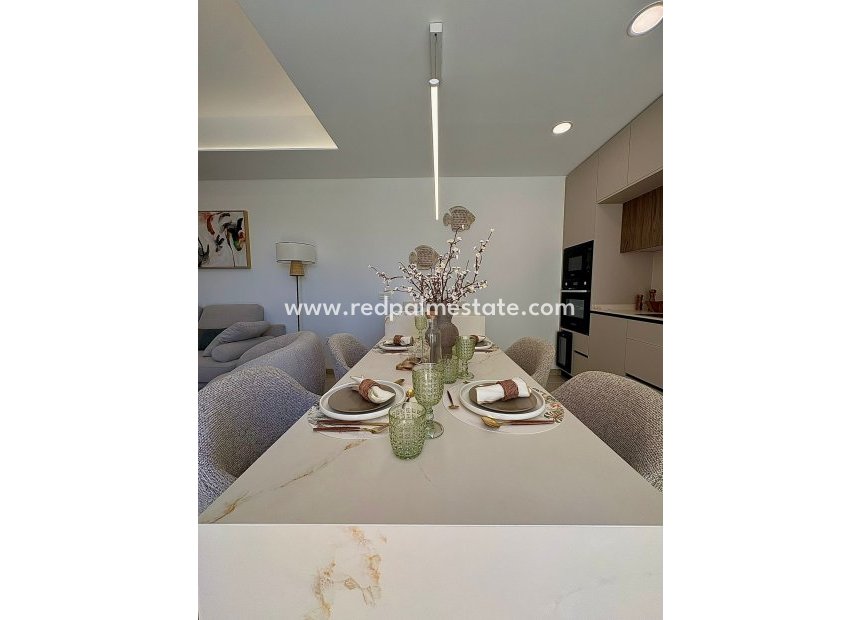 Obra nueva - Villa -
ROLDAN - Roldán