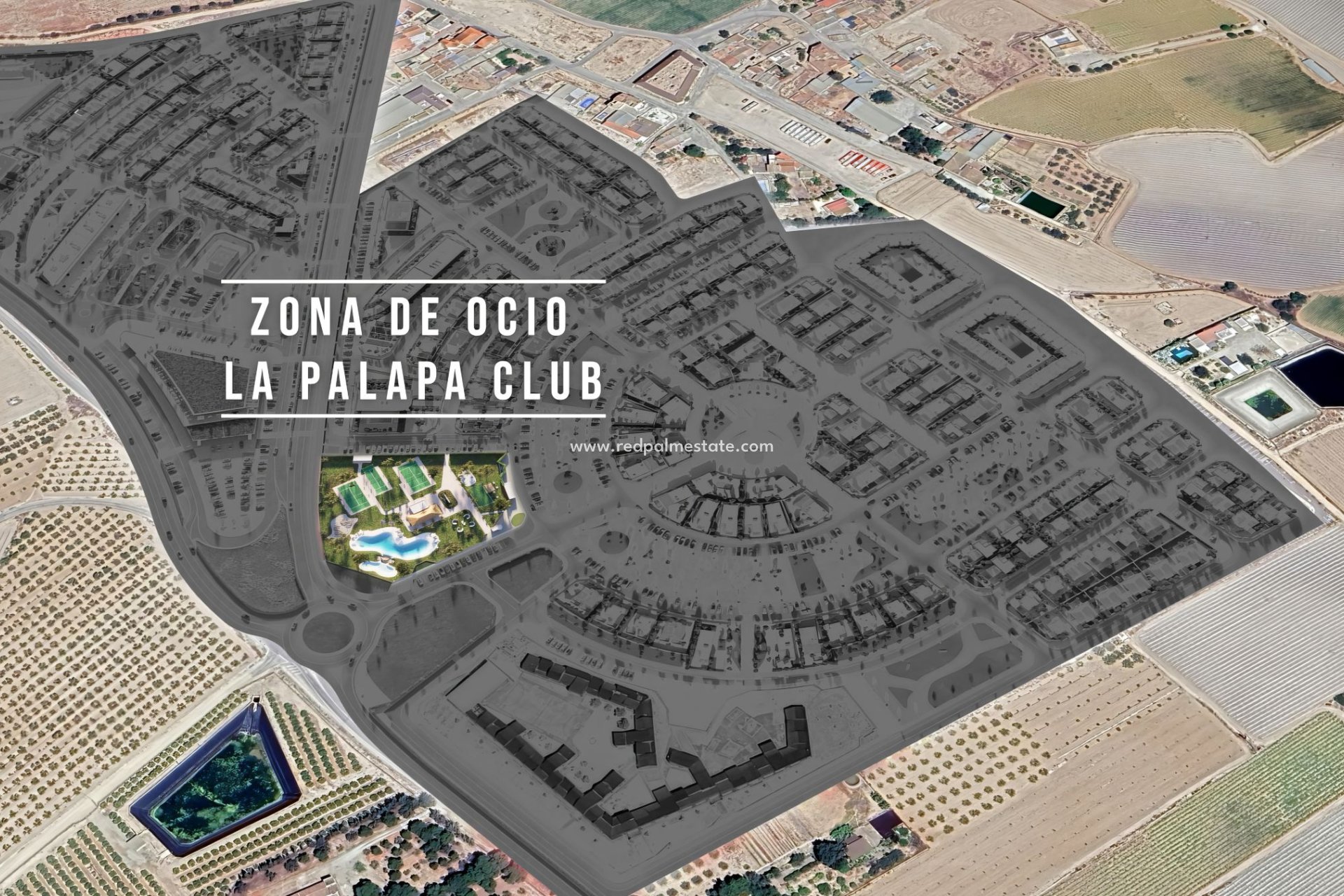 Obra nueva - Villa -
ROLDAN - Roldán