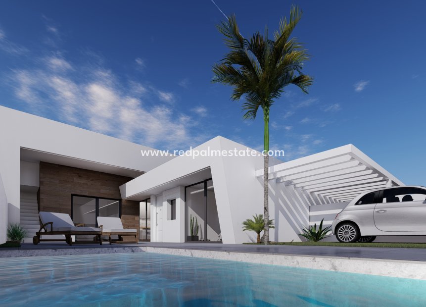 Obra nueva - Villa -
ROLDAN - Roldán