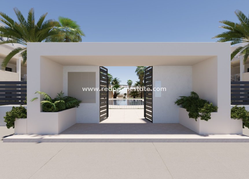 Obra nueva - Villa -
SAN CAYETANO