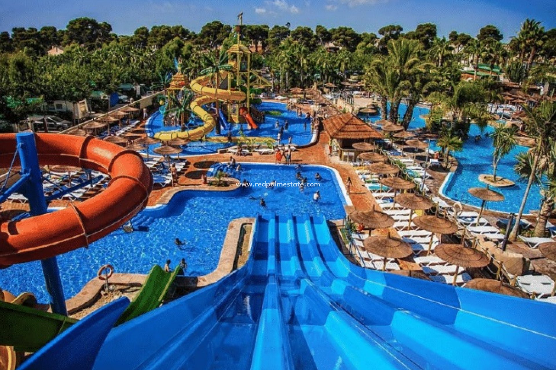 Obra nueva - Villa -
San Fulgencio