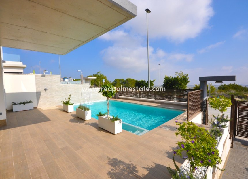 Obra nueva - Villa -
San Miguel de Salinas - San Miguel Salinas