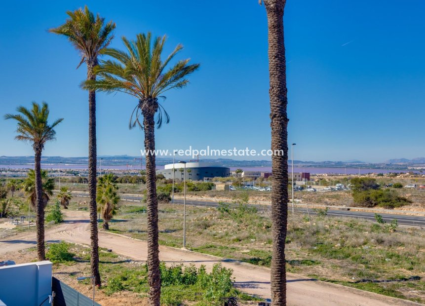 Obra nueva - Villa -
Torrevieja - Nueva Torrevieja - Aguas Nuevas