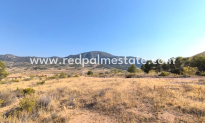 Parcelle - Revente - Algueña - Inland
