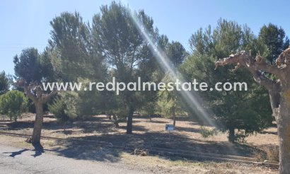 Parcelle - Revente - Beneixama - Inland