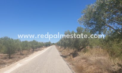 Parcelle - Revente -
            Biar - MR2-58551