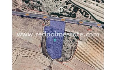 Parcelle - Revente - Chinorlet - Inland