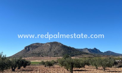 Parcelle - Revente - La Romana - Inland