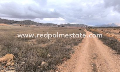 Parcelle - Revente - La Solana - La Solana