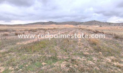 Parcelle - Revente - La Solana - La Solana