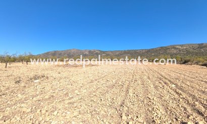 Parcelle - Revente - Monóvar/Monóver - Inland