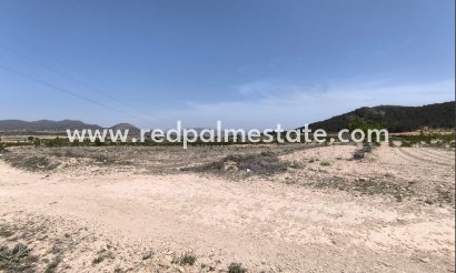 Parcelle - Revente - Monóvar/Monóver - Inland