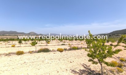 Parcelle - Revente - Monóvar/Monóver - Inland