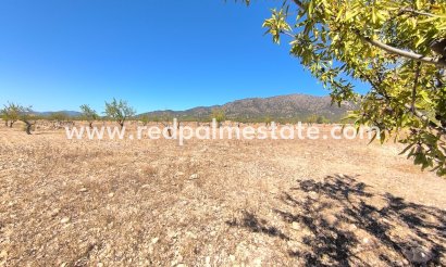 Parcelle - Revente - Monóvar/Monóver - Inland