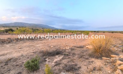 Parcelle - Revente - Pinoso - Inland