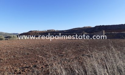 Parcelle - Revente - Pinoso - Inland