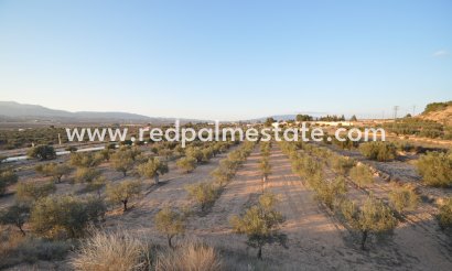 Parcelle - Revente - Pinoso - Inland