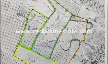 Parcelle - Revente - Pinoso - Inland