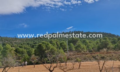 Parcelle - Revente - Pinoso - Inland