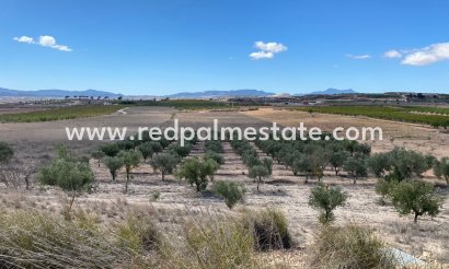Parcelle - Revente - Pinoso - Inland