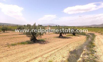 Parcelle - Revente - Pinoso - Inland
