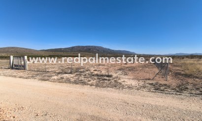 Parcelle - Revente - Pinoso - Inland