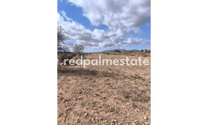 Parcelle - Revente - Pinoso - Inland