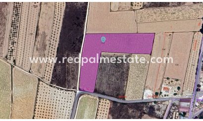 Parcelle - Revente - Pinoso - Inland