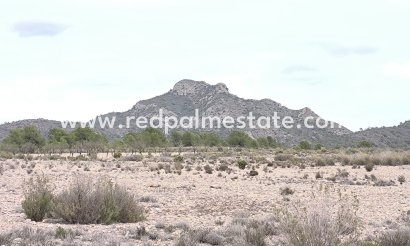 Parcelle - Revente - Salinas - Inland