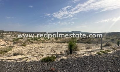 Parcelle - Revente - Torremendo - Torremendo