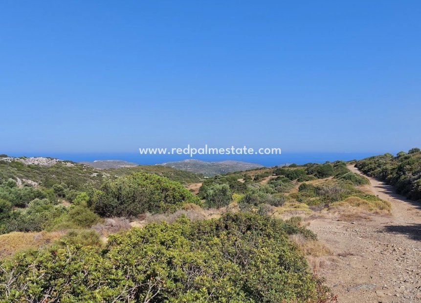  - Plot -
Gran alacant - Avda. noruega