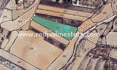 Plot - Resale - Algueña - Inland