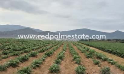 Plot - Resale - Hondón de las Nieves - Inland