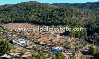 Plot - Resale -
            Ibi - MR2-90809