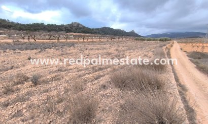 Plot - Resale - La Solana -
                La Solana