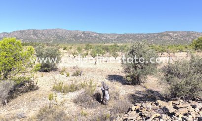 Plot - Resale - Monóvar/Monóver - Inland