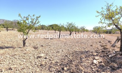 Plot - Resale - Monóvar/Monóver - Inland