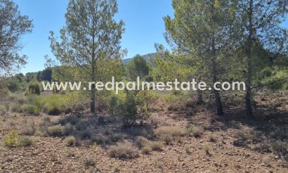 Plot - Resale - Monóvar/Monóver -
                Inland