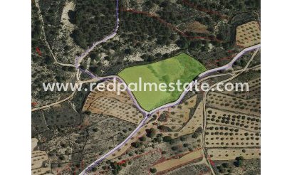 Plot - Resale - Monóvar/Monóver -
                Inland