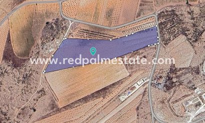 Plot - Resale - Pinoso -
                Inland