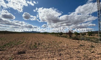 Plot - Resale - Pinoso -
                Inland