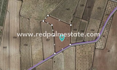 Plot - Resale - Pinoso - Inland