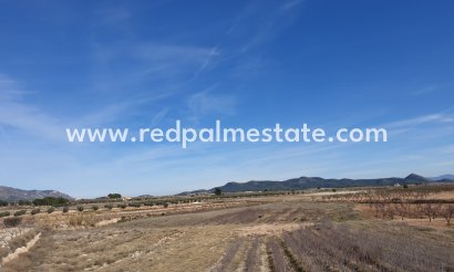 Plot - Resale - Pinoso - Inland