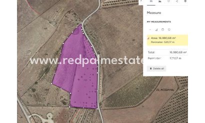 Plot - Resale - Pinoso - Inland
