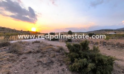Plot - Resale - Pinoso - Inland
