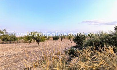 Plot - Resale - Pinoso -
                Inland