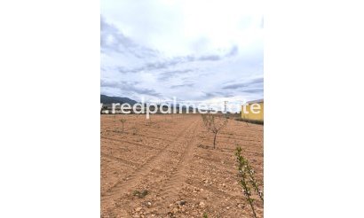 Plot - Resale - Pinoso - Inland