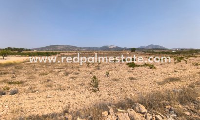 Plot - Resale - Pinoso - Inland