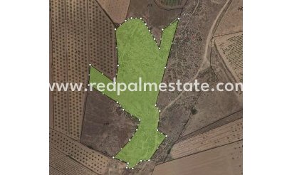 Plot - Resale - Pinoso - Inland
