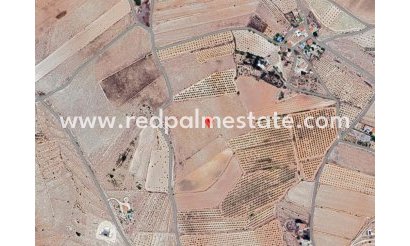 Plot - Resale - Pinoso - Inland